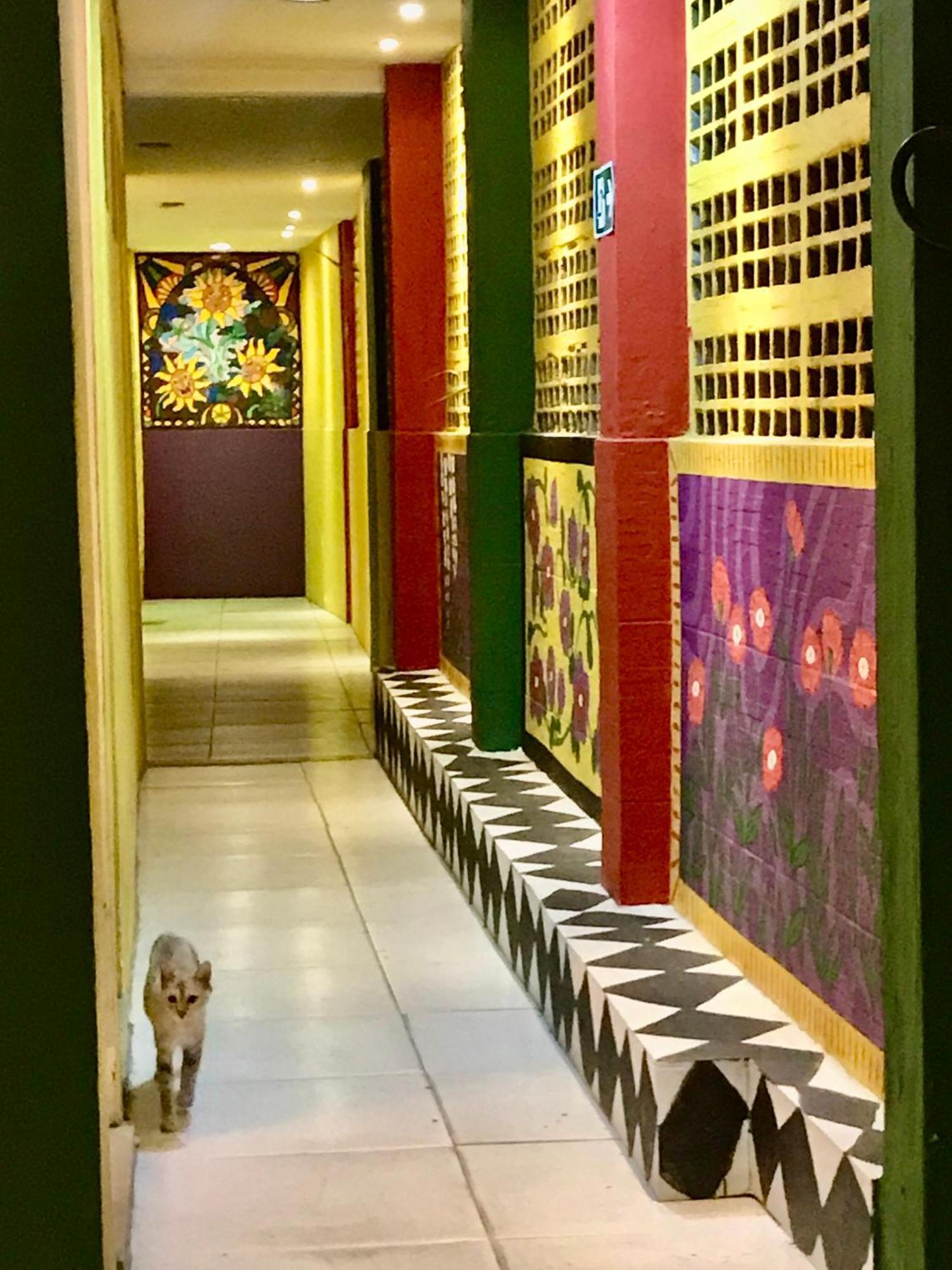 Hostel Do Rasta Салвадор Екстериор снимка